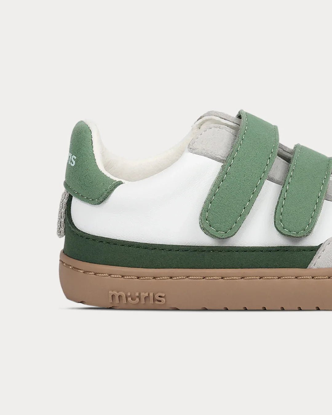 Petra Green - Sapiens