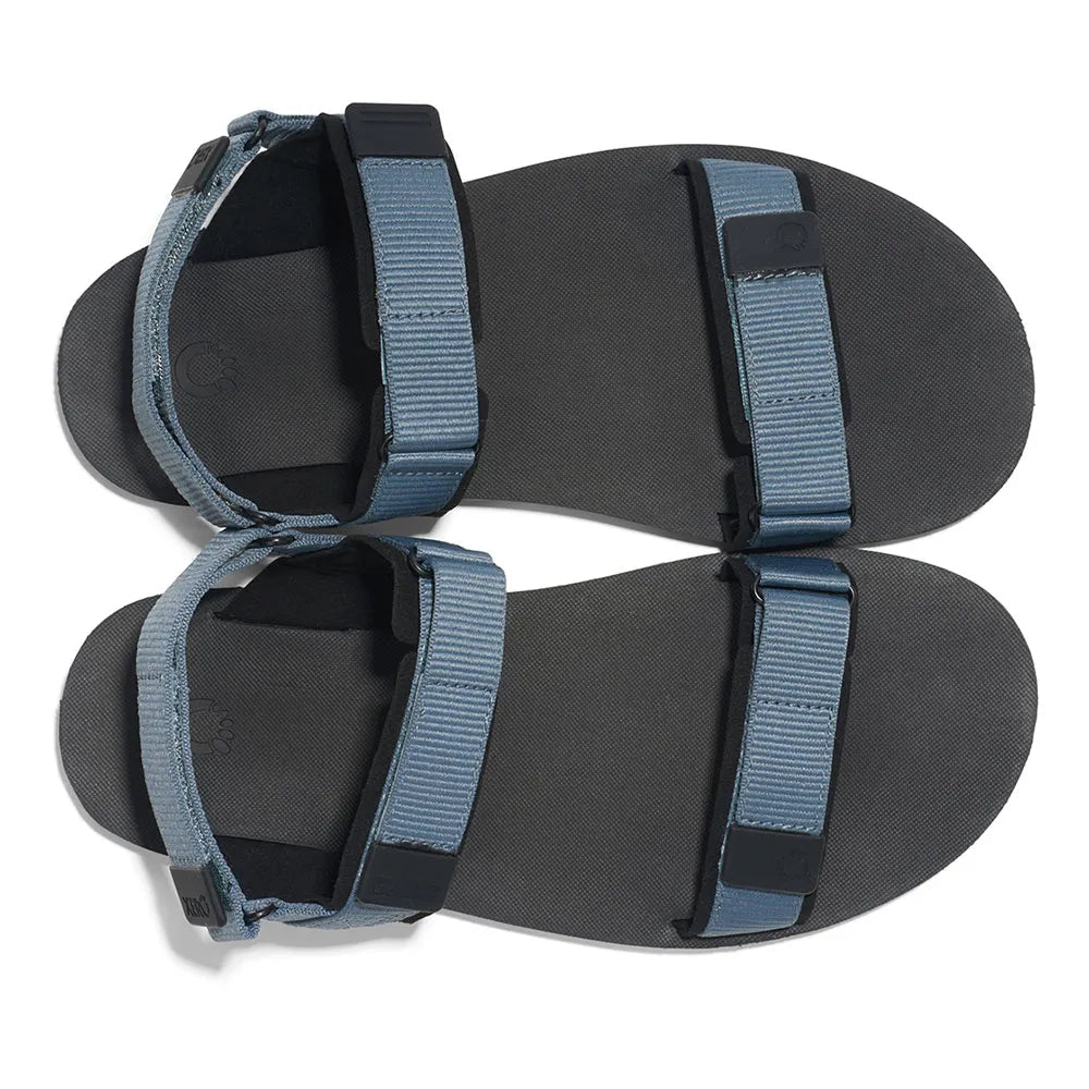 D - TRAIL M - Sapiens