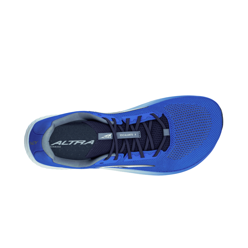 M Escalante 4 Blue Fade - Sapiens