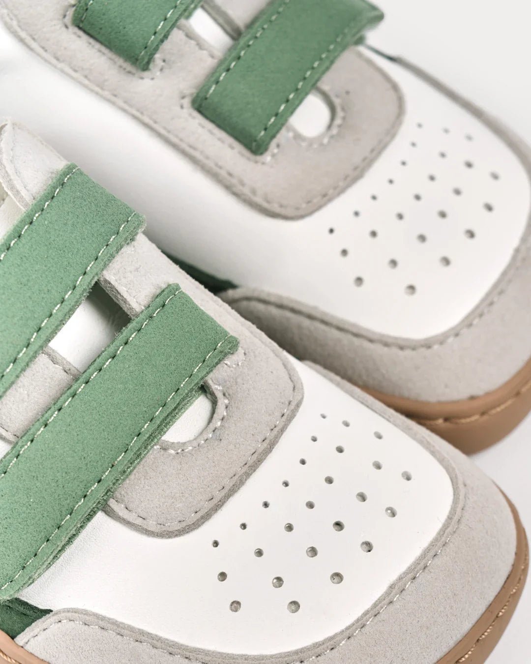 Petra Green - Sapiens